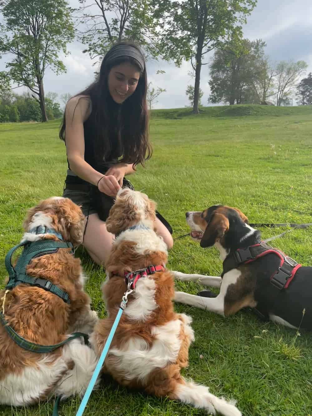 Dog trainer smiling surrounded by three dogs