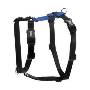 Blue-9 Balance Harness Where Sit Happens