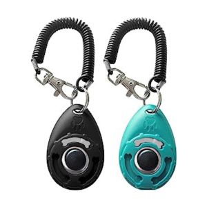 Clickers Where Sit Happens