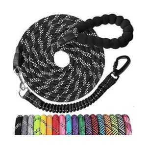 Long Line Where Sit Happens