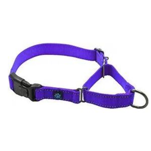 Martingale Collar Where Sit Happens