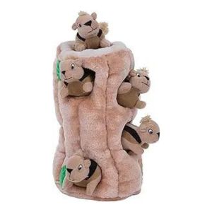 Squirrels in a Log Where Sit Happens