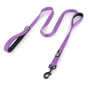 leash Where Sit Happens