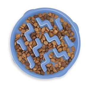 slow feeder Where Sit Happens