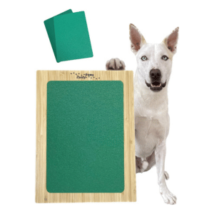 puppy kong Where Sit Happens