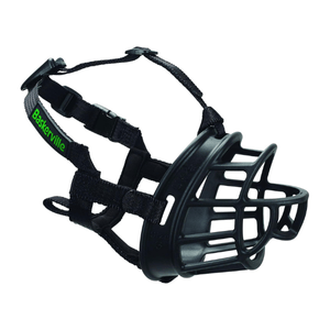 puppy kong Where Sit Happens